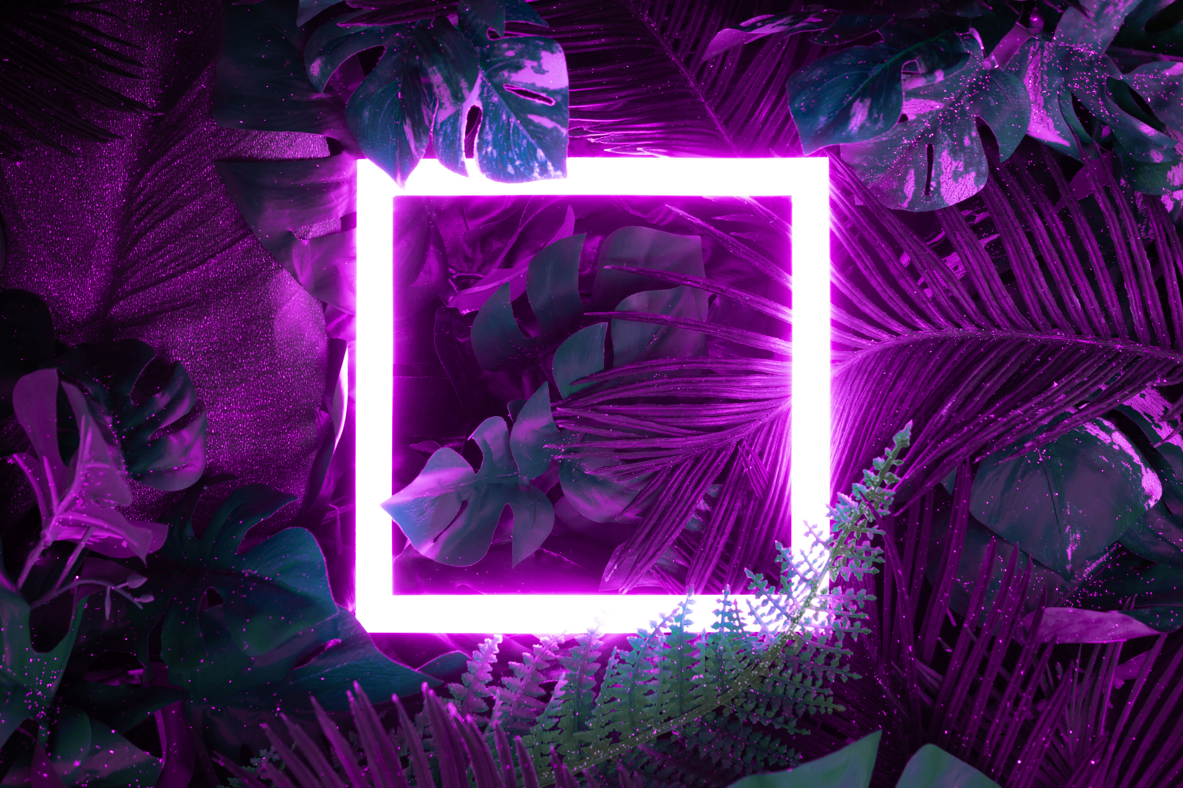 Creative fluorescent color layout made of tropical leaves with neon light square.